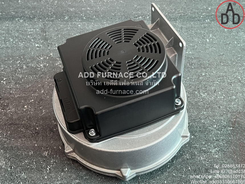 G1G170-AB53-81 (8)